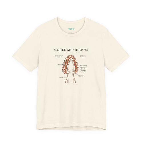 t-shirt  - morchella esculenta